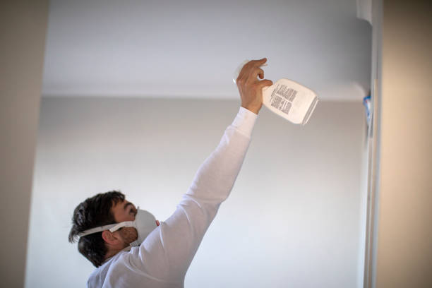 Crawl Space Mold Removal in Byesville, OH