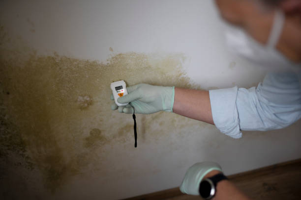 Best Water Damage Restoration  in Byesville, OH