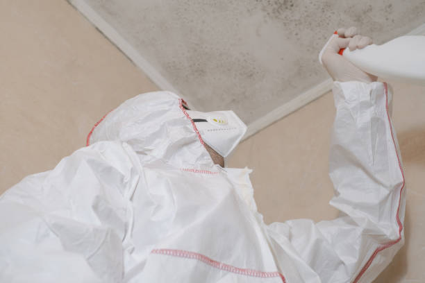 Best Mold Removal and Inspection  in Byesville, OH