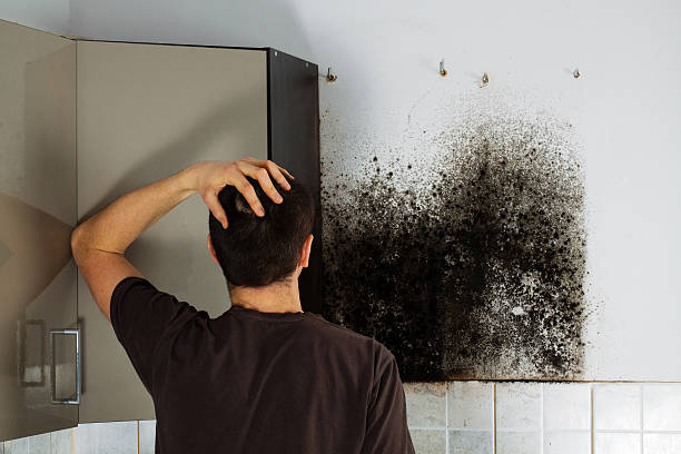 Best Crawl Space Mold Removal  in Byesville, OH
